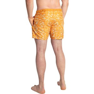 IQ UV Boardshorts