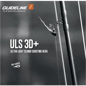 Guideline ULS 3D+
