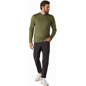 Arc'teryx Dallen Fleece Pullover Mens