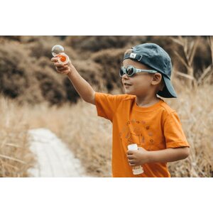 Julbo Loop L SP4 Blue / Sky Blue