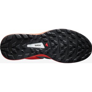 Salomon Ultra Pro
