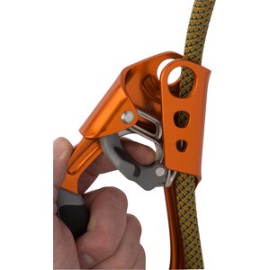 Black Diamond Index Ascender