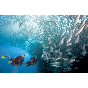 PADI Nitrox -Online