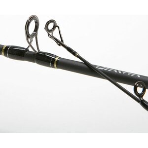 Daiwa Goldcast Spincast 2pc