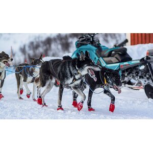 Non-stop Dogwear Nansen Nome