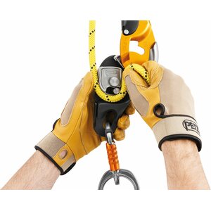 Petzl Rig, Black