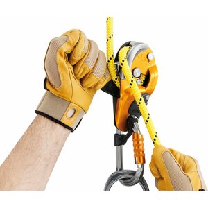 Petzl Rig, Black