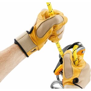 Petzl Rig, Black