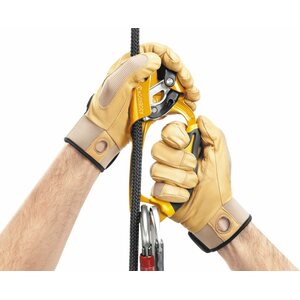Petzl Ascension Ascender