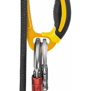 Petzl Ascension Ascender
