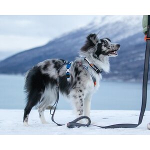 Non-stop Dogwear Polar Click Collar