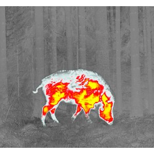 Pulsar Thermion XP50 Thermal Imaging Riflescopes