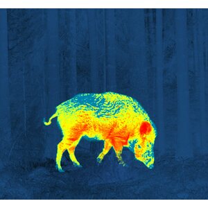 Pulsar Thermion XP50 Thermal Imaging Riflescopes