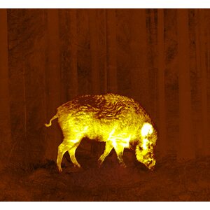 Pulsar Thermion XP50 Thermal Imaging Riflescopes