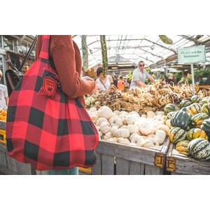 Grand Trunk Eco Tote Bag