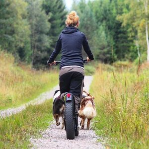 Kickbike Fat MAX