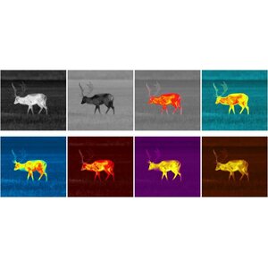 8 Color palettes The 8-color palette enhances viewing in varying conditions. While the classic “White Hot” mode is exceptionally versatile, “Hot Black” is often favored for detecting wildlife at night. Red monochrome helps to reduce or prevent bright backlight from exiting the eyepiece. Sepia often improves long-range observation while “Red Hot”, “Rainbow” and “Ultramarine” enhance temperature differences of various object attributes. Violet helps to identify objects faster.