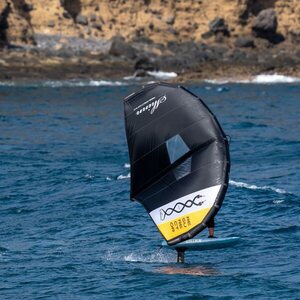 Shinn Resurector 6m² wing