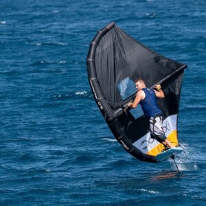 Shinn Resurector 6m² wing