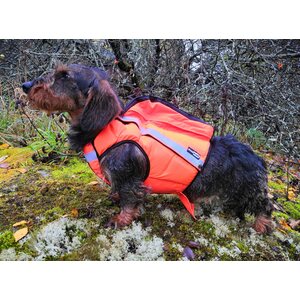 Kardog Saga Kelluttava GPS-huomioliivi