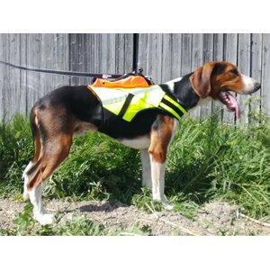 Kardog Jehu Kelluttava GPS-huomioliivi