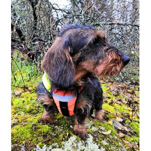 Kardog Saga Kelluttava GPS-huomioliivi