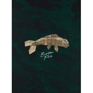 Burton Fish 3D Directional Flat Top Snowboard