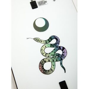 Burton Womens Story Board Camber Snowboard