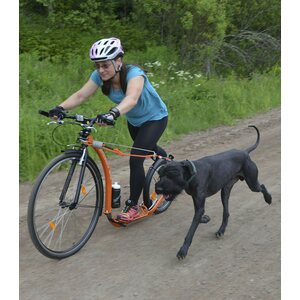 Kainpo Koiranjuoksutusadapteri Combi PLUS