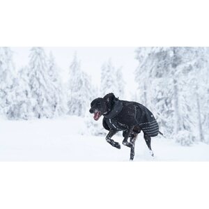 Non-stop Dogwear Glacier Wool Jacket