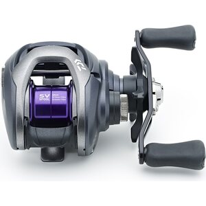 Daiwa 20 Prorex PE SV TW