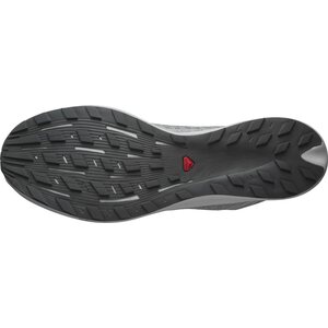 Salomon S/Lab Pulsar