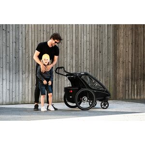 Thule Chariot Sport 2 (2021)