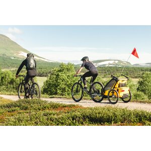 Thule Chariot Sport 1