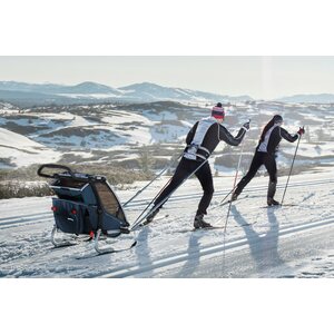 Thule Chariot Cross 1