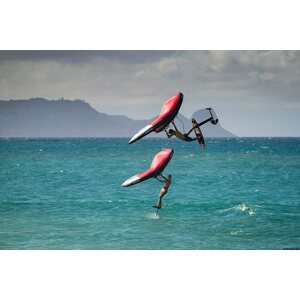Ozone WASP V2 Wing 6m²