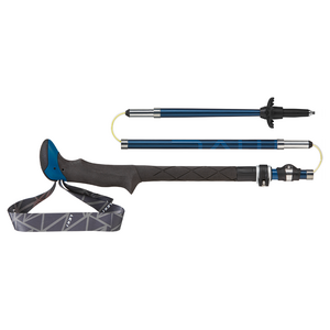 LEKI Micro Vario Carbon