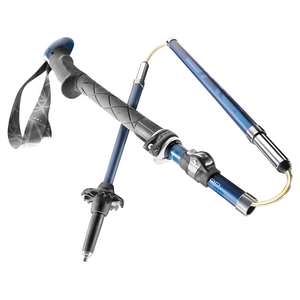LEKI Micro Vario Carbon