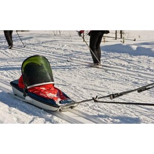 Fjellpulken Children's Pulk - Complete (101) (Without original package box)