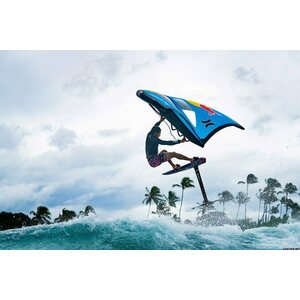 Ozone WASP V2 Wing 2.3m²