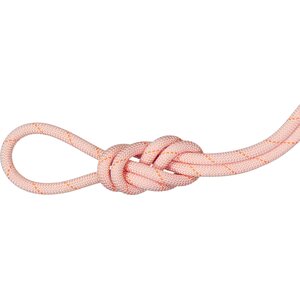 Mammut 9.9 Gym Workhorse Classic Rope