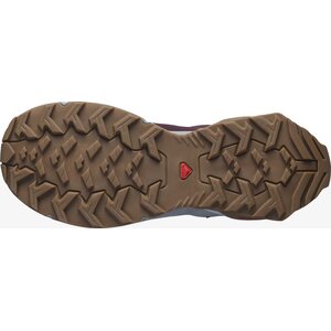 Salomon X Reveal GTX Womens
