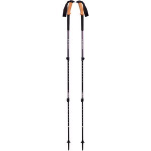 Black Diamond Trail Ergo Cork Trekking Poles