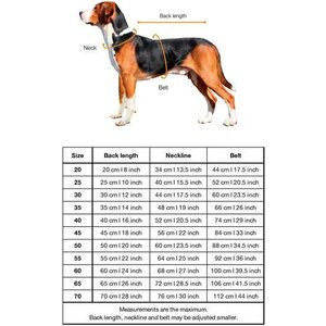 Paikka Visibility Raincoat for Dogs