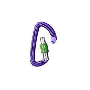 Wild Country Session Screw Gate Locking Carabiner