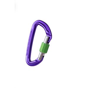 Wild Country Session Screw Gate Locking Carabiner
