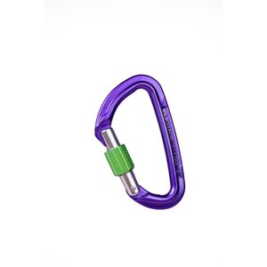 Wild Country Session Screw Gate Locking Carabiner