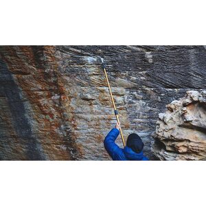Nature Climbing Stick It