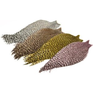 Whiting American Rooster Cape