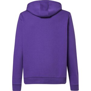Oakley Gradient B1B Patch Hoodie Mens